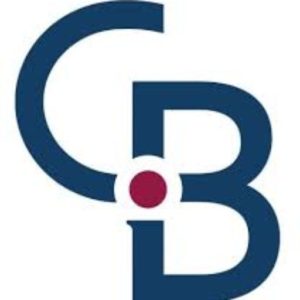 cropped CBI Site Image3 1 300x300 - Castle Brokerage Icon